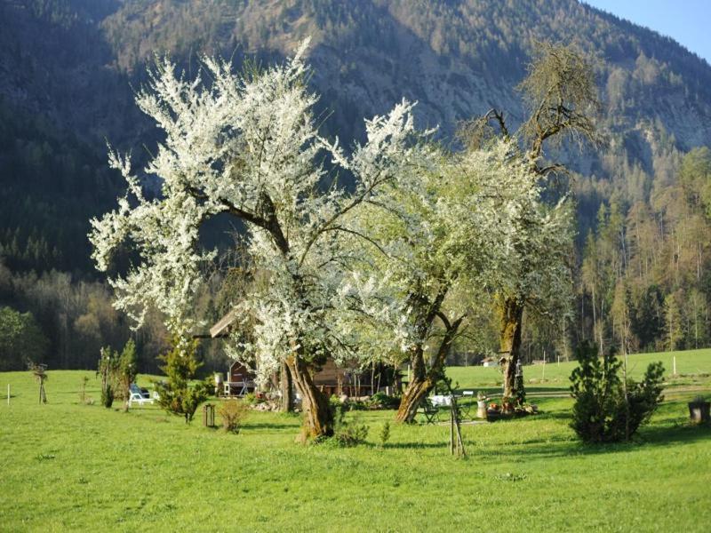 Hansenbauernhof Inkl. Chiemgaukarte Ruhpolding Ngoại thất bức ảnh