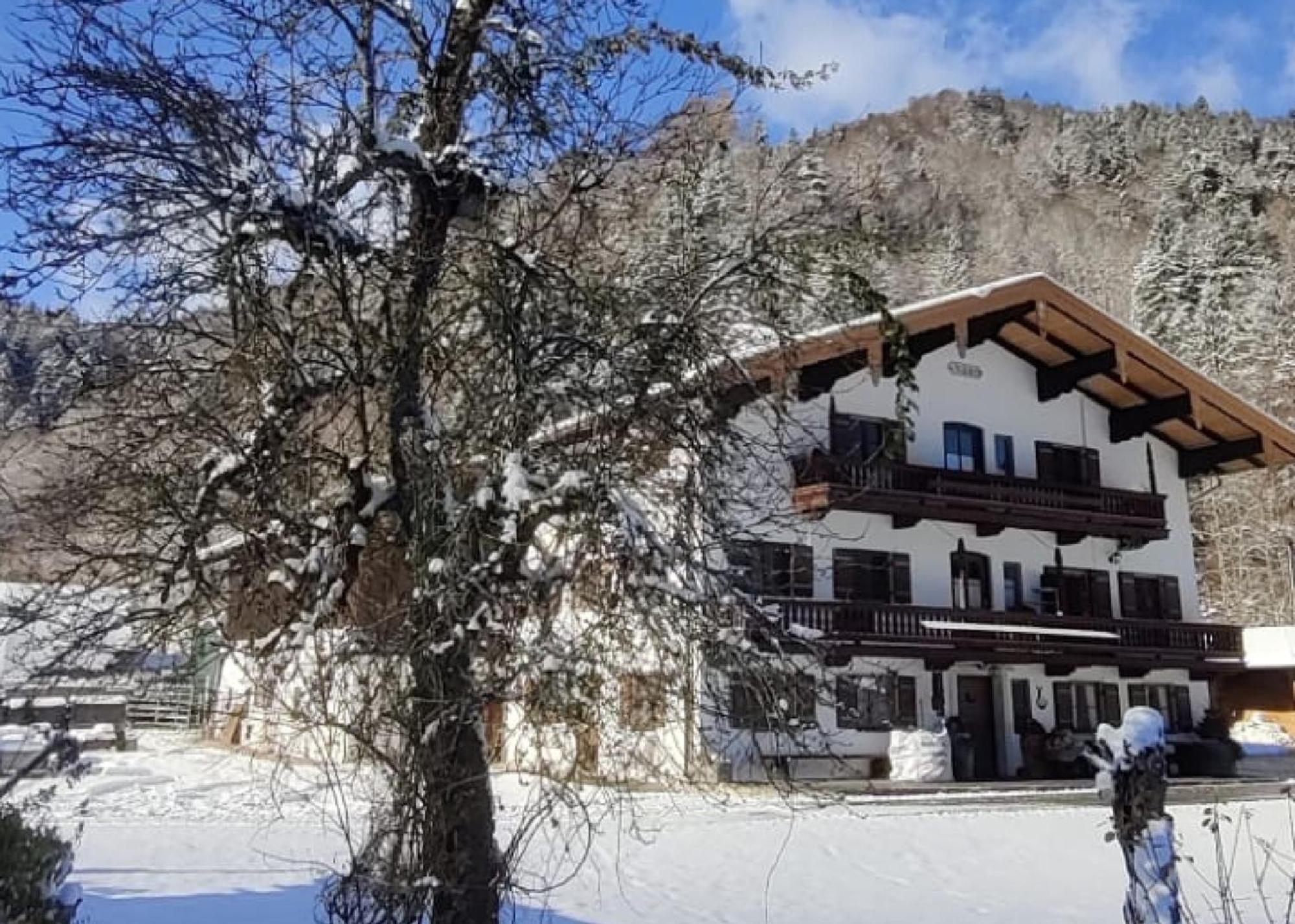 Hansenbauernhof Inkl. Chiemgaukarte Ruhpolding Ngoại thất bức ảnh
